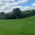 Fernway Entire *